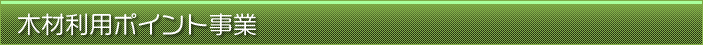 ؍ޗp|Cg
